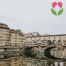 Carica l'immagine nel visualizzatore di Gallery, Fantastic Florence / Logo design