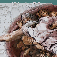 Carica l'immagine nel visualizzatore di Gallery, Progetto in 3d che esplora i quadri famosi come mai prima d'ra di Invasione Creativa