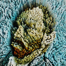 Carica l'immagine nel visualizzatore di Gallery, Progetto in 3d che esplora i quadri famosi come mai prima d'ra di Invasione Creativa