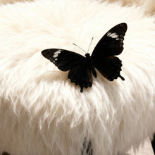 Carica l&#39;immagine nel visualizzatore di Gallery, Baxter Black Friday
